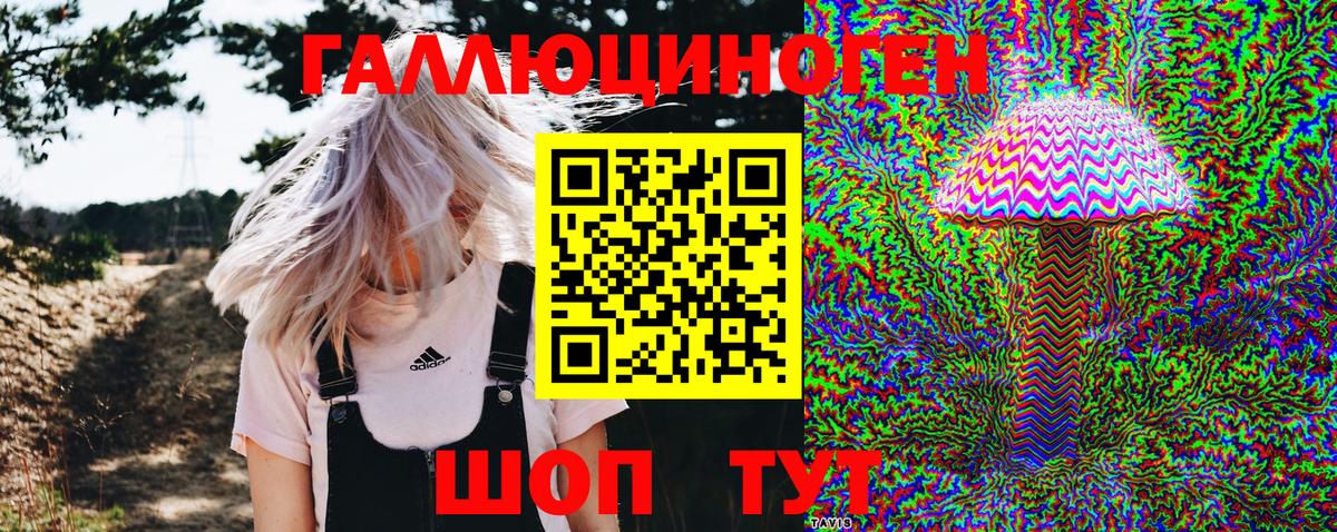 Богородицк  Галлюциногенные грибы Magic Shrooms  Вход с VPN 