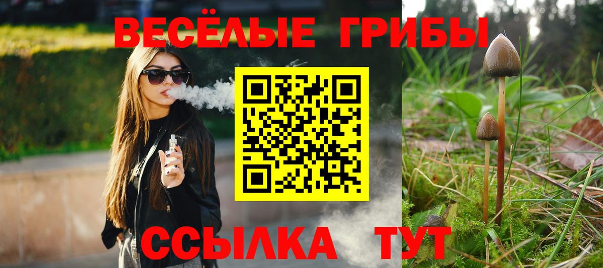 Псилоцибиновые грибы мухоморы Богородицк